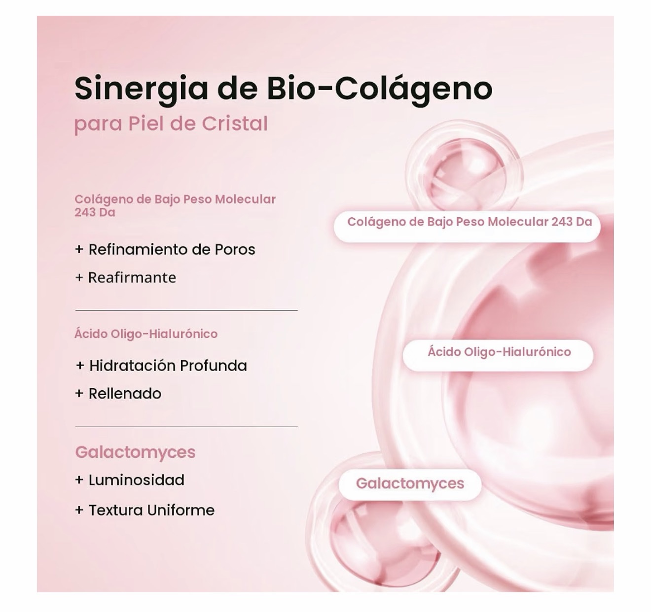 BIODANCE Máscara profunda de bio-colágeno, mascarilla facial hidratante de hidrogel durante la noche, minimización de poros, elasticidad, relleno - Imagen 4