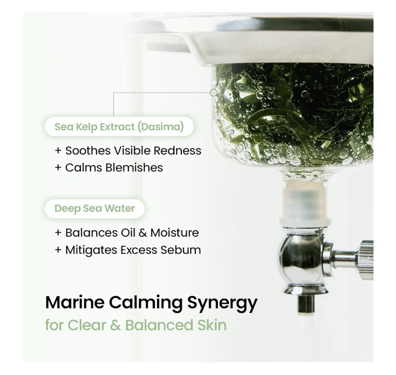 BIODANCE Máscara refrescante profunda de algas marinas, mascarilla facial de hidrogel durante la noche, calmante, control de aceite y sebo, cuidado de manchas, cuidado después del sol - Imagen 3